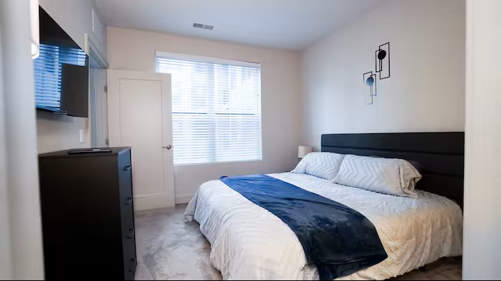 Downtown Luxury Flat (2)