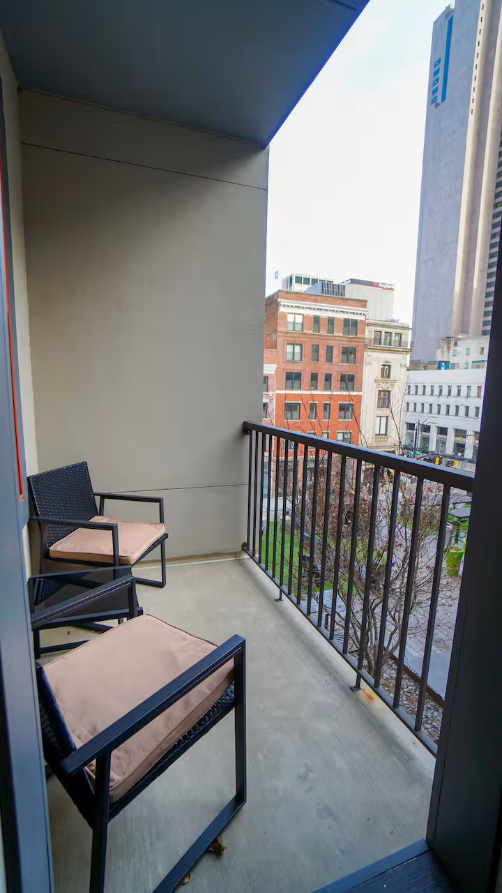 Downtown Luxury Flat (3)